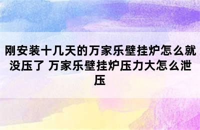 刚安装十几天的万家乐壁挂炉怎么就没压了 万家乐壁挂炉压力大怎么泄压